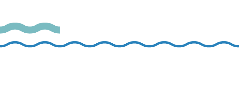 Marine Safety SA logo