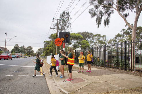 Koala Crossing 